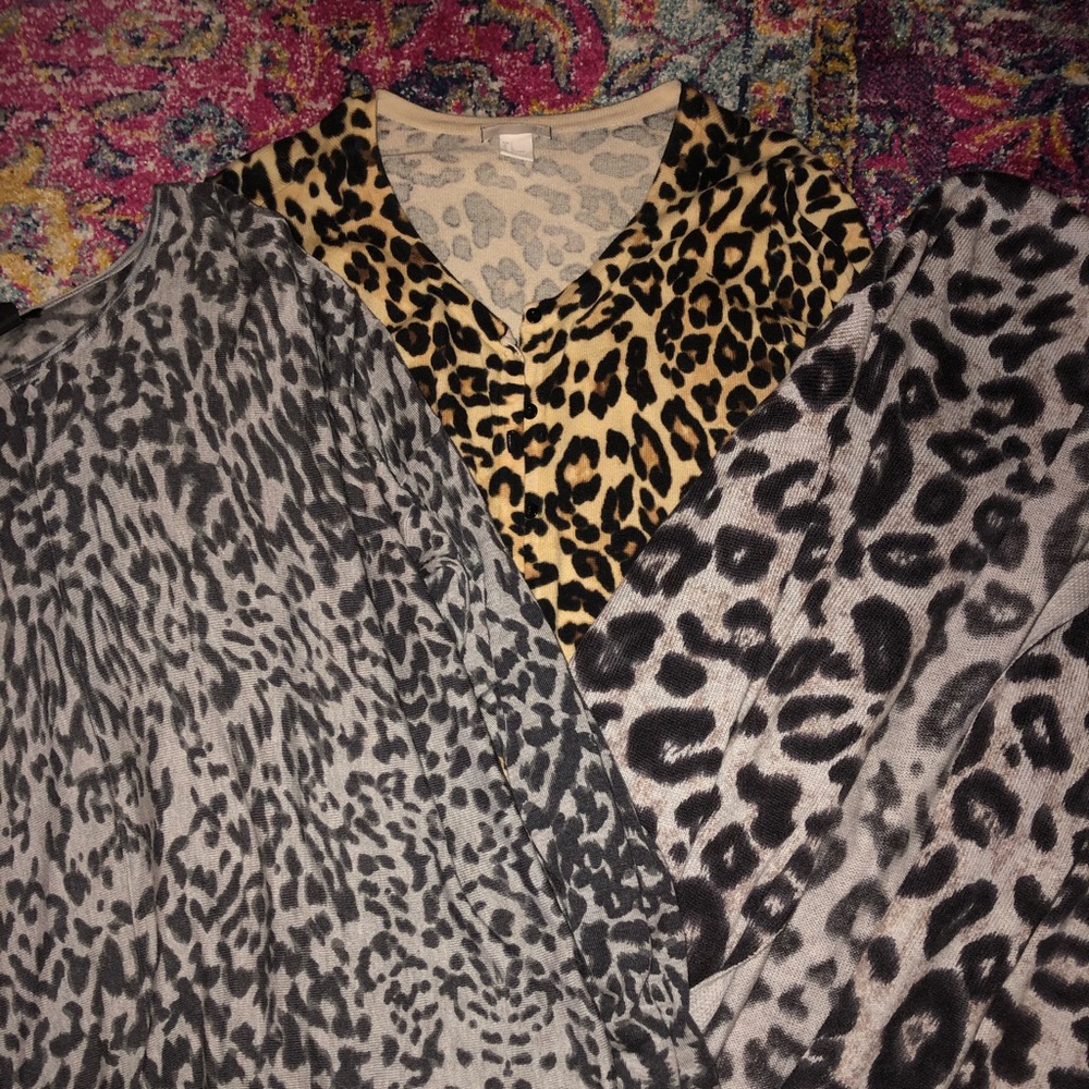 A touch of cheetah